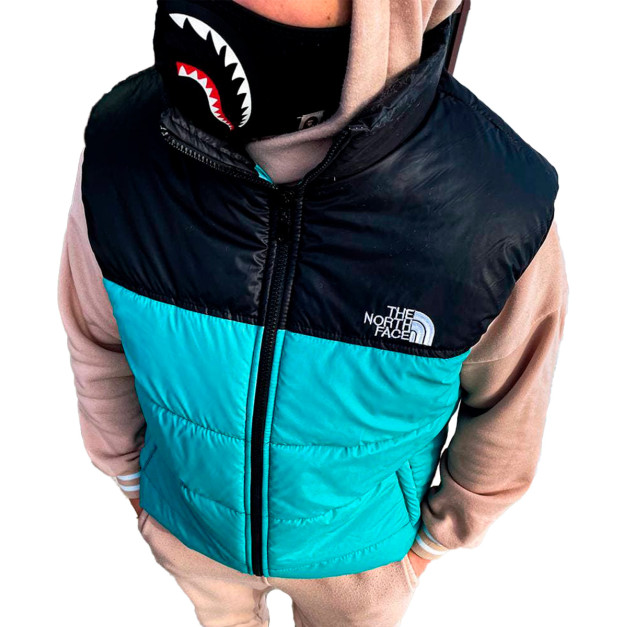 Жилетка Унісекс The North Face 1996 Retro Nuptse Vest NF0A3JQQ-H8E1
