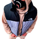 Жилетка Унісекс The North Face 1996 Retro Nuptse Vest NF0A3JQQ-DY1