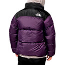 Пуховик Унісекс The North Face 1996 Retro Nuptse Jacket 700 NF0A3C8D-A0G