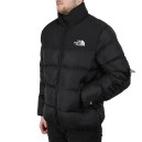 Пуховик Унісекс The North Face 1996 Retro Nuptse Jacket 700 NF0A3C8D-ABB
