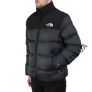 Пуховик Унісекс The North Face 1996 Retro Nuptse Jacket 700 NF0A3C8D-GBG