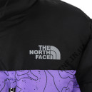 Пуховик Унісекс The North Face 1996 Retro Nuptse Jacket 700 NF0A3C8D-P22