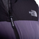 Пуховик Унісекс The North Face 1996 Retro Nuptse Jacket 700 NF0A3XEO-PW8