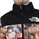 Пуховик Унісекс The North Face 1996 Retro Nuptse Jacket 700 NF0A3C8D-047