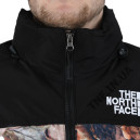 Пуховик Унісекс The North Face 1996 Retro Nuptse Jacket 700 NF0A3C8D-047