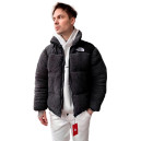 Пуховик Унісекс The North Face 1996 Retro Nuptse Jacket NF0A3C8D-A0D