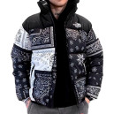 Пуховик Унісекс The North Face 1996 Retro Nuptse Jacket NF0A3C8D-A0K