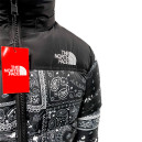 Пуховик Унісекс The North Face 1996 Retro Nuptse Jacket NF0A3C8D-A0N