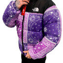 Пуховик Унісекс The North Face 1996 Retro Nuptse Jacket NF0A3C8D-A1E