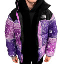 Пуховик Унісекс The North Face 1996 Retro Nuptse Jacket NF0A3C8D-A1E