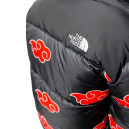 Пуховик Унісекс The North Face 1996 Retro Nuptse Jacket NF0A3C8D-A1W