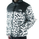 Пуховик Унісекс The North Face 1996 Retro Nuptse Jacket NF0A3C8D-B0W
