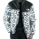 Пуховик Унісекс The North Face 1996 Retro Nuptse Jacket NF0A3C8D-B0W