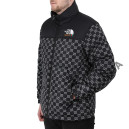 Пуховик Унісекс The North Face 1996 Retro Nuptse Jacket Gucci NF0A3C8D-B5G
