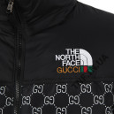 Пуховик Унісекс The North Face 1996 Retro Nuptse Jacket Gucci NF0A3C8D-B5G