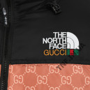 Пуховик Унісекс The North Face 1996 Retro Nuptse Jacket Gucci NF0A3C8D-G5B