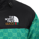 Пуховик Унісекс The North Face 1996 Retro Nuptse Jacket Gucci NF0A3C8D-G5G