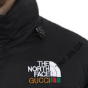 Пуховик Унісекс The North Face 1996 Retro Nuptse Jacket Gucci NF0A3C8D-G5G