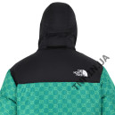 Пуховик Унісекс The North Face 1996 Retro Nuptse Jacket Gucci NF0A3C8D-G5G