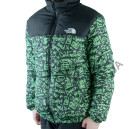 Пуховик Унісекс The North Face 1996 Retro Nuptse Jacket NF0A3JQQ-GR1