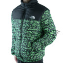 Пуховик Унісекс The North Face 1996 Retro Nuptse Jacket NF0A3JQQ-GR1