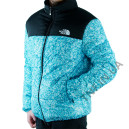 Пуховик Унісекс The North Face 1996 Retro Nuptse Jacket NF0A3C8D-0TY