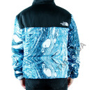 Пуховик Унісекс The North Face 1996 Retro Nuptse Jacket NF0A3C8D-NA1